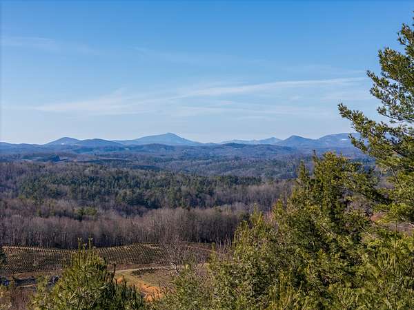 63.8 Acres of Recreational Land for Sale in Fleetwood, North Carolina