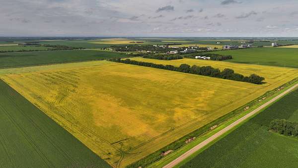 142 Acres of Recreational Land & Farm for Auction in Fairmount, North Dakota