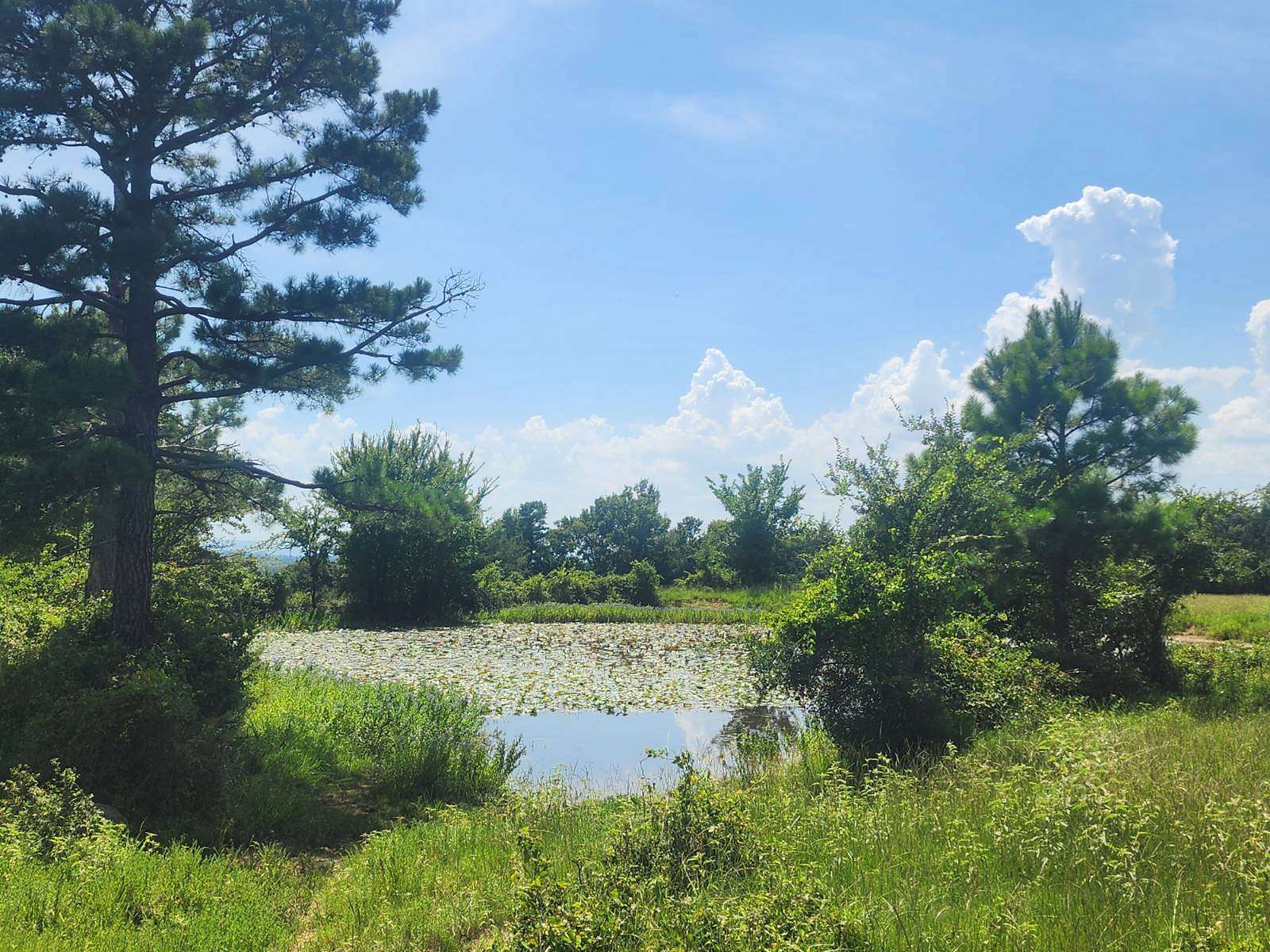 467 Acres of Recreational Land & Farm for Sale in Talihina, Oklahoma