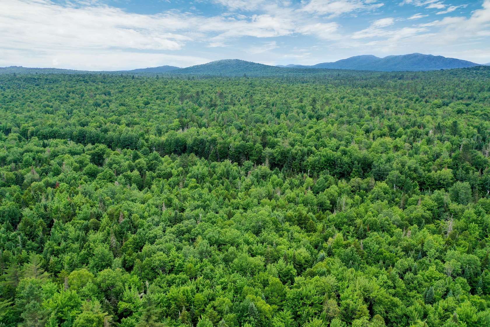 175 Acres of Recreational Land for Sale in Vermontville, New York