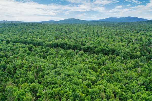 175 Acres of Recreational Land for Sale in Vermontville, New York