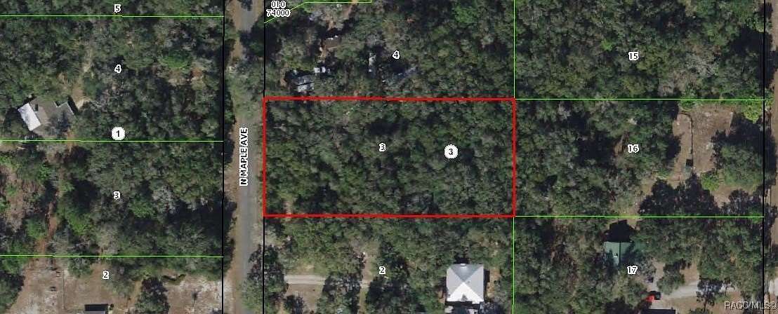 1 Acre of Residential Land for Sale in Crystal River, Florida