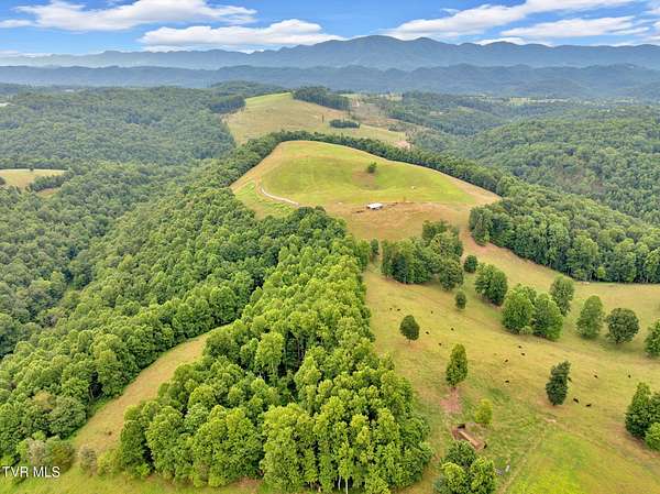 106 Acres of Land for Sale in Fort Blackmore, Virginia
