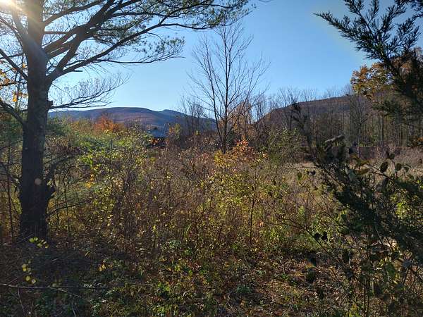 6.6 Acres of Residential Land for Sale in Palenville, New York