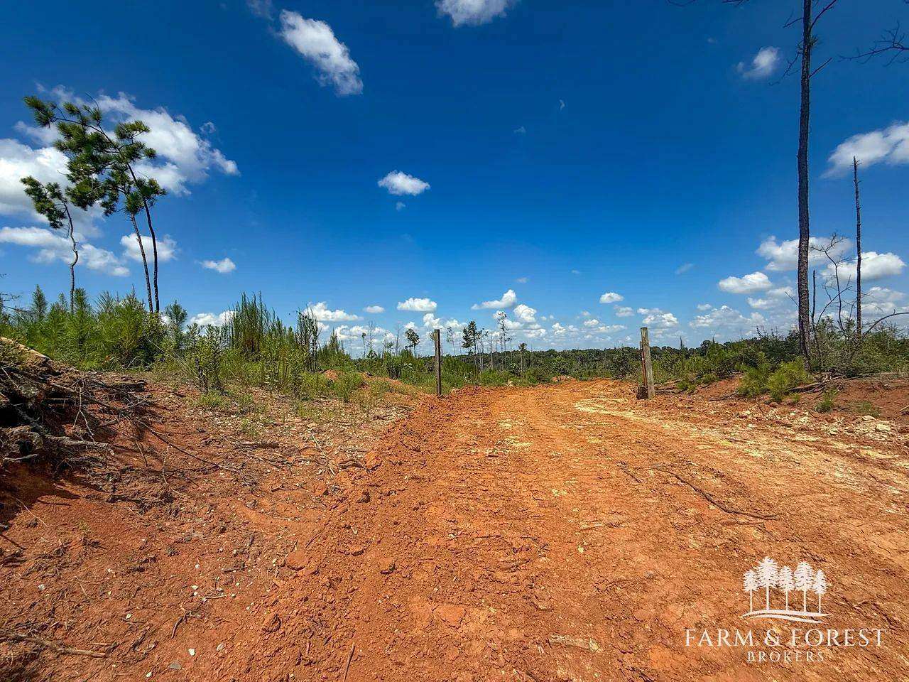 22 Acres of Recreational Land for Sale in Jack, Alabama