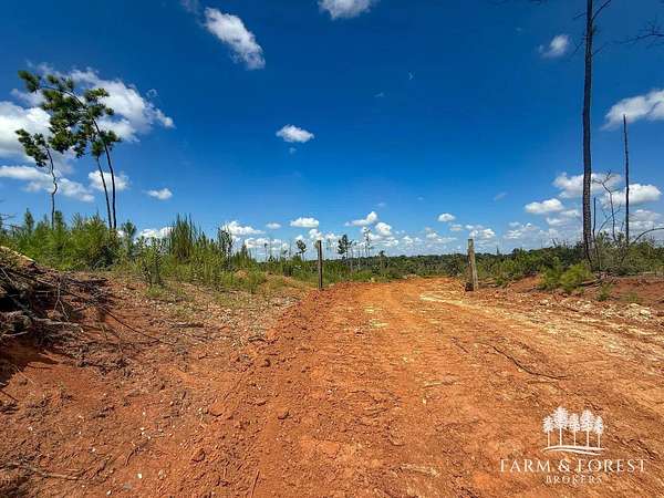 22 Acres of Recreational Land for Sale in Jack, Alabama