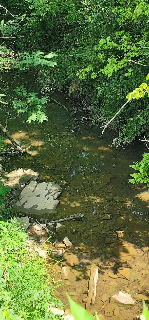 0.56 Acres of Residential Land for Sale in Tracy City, Tennessee