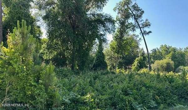 1 Acre of Land for Sale in Georgetown, Florida