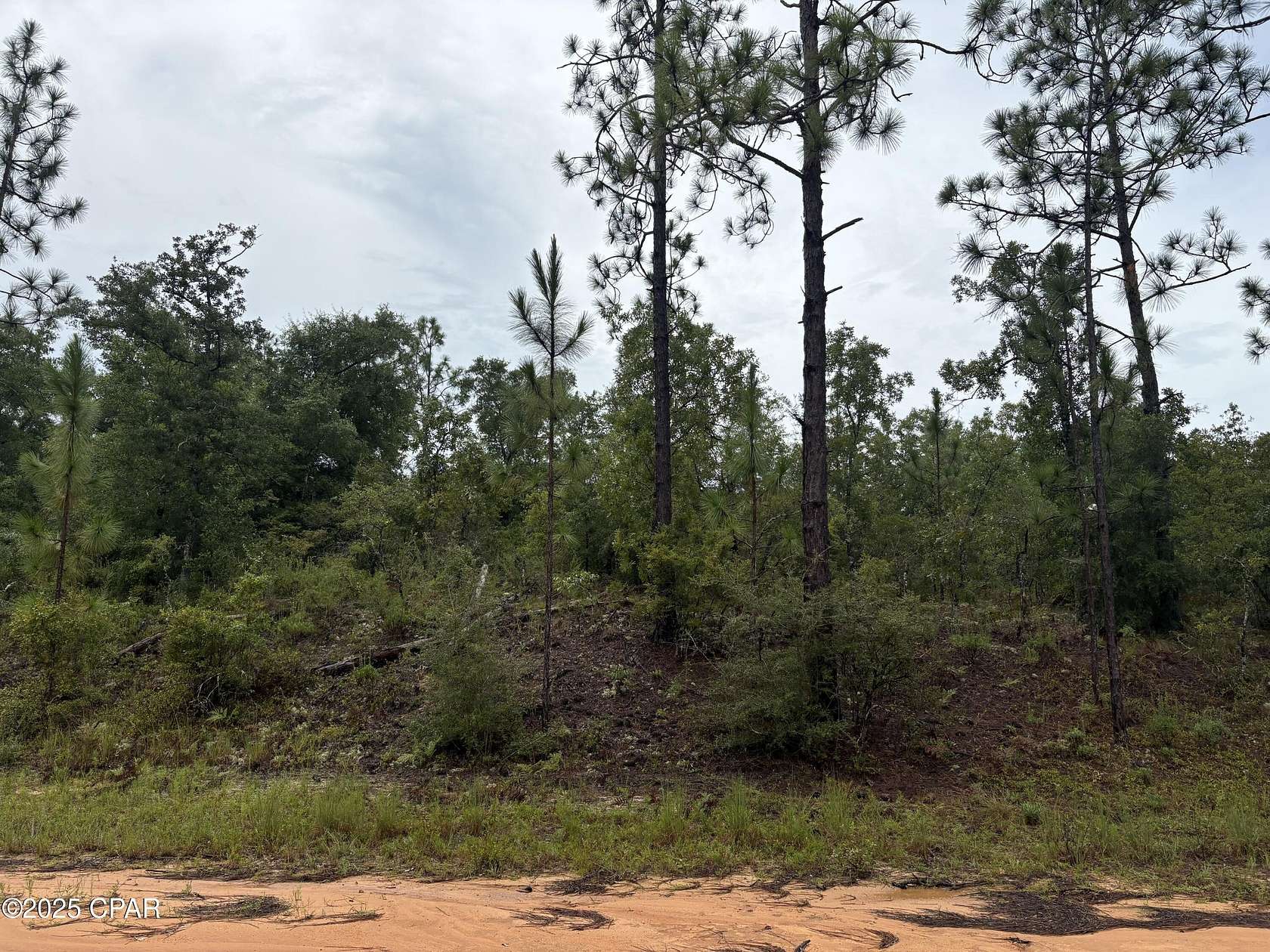 1.1 Acres of Residential Land for Sale in Alford, Florida