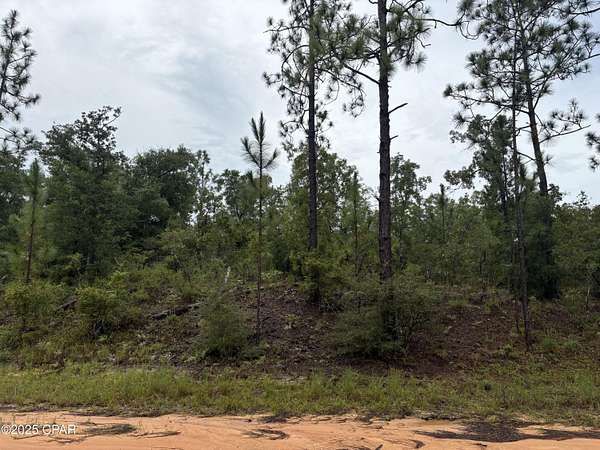 1.1 Acres of Residential Land for Sale in Alford, Florida