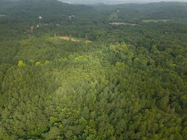 24.6 Acres of Land for Sale in Riceville, Tennessee