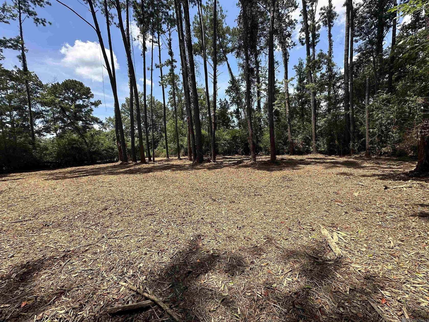 1 Acre of Commercial Land for Sale in Denham Springs, Louisiana