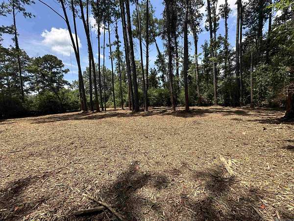 1 Acre of Commercial Land for Sale in Denham Springs, Louisiana