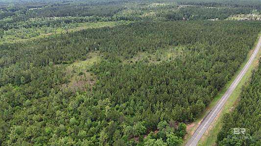 55 Acres of Land for Sale in Perdido, Alabama