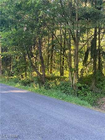 0.44 Acres of Residential Land for Sale in Barberton, Ohio