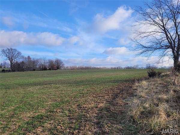 26.5 Acres of Agricultural Land for Sale in Middletown, Missouri