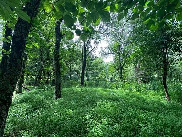 6 Acres of Land for Sale in Independence, Virginia