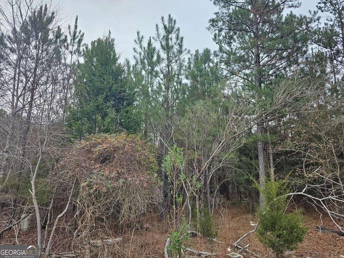 5 Acres of Residential Land for Sale in Carlton, Georgia