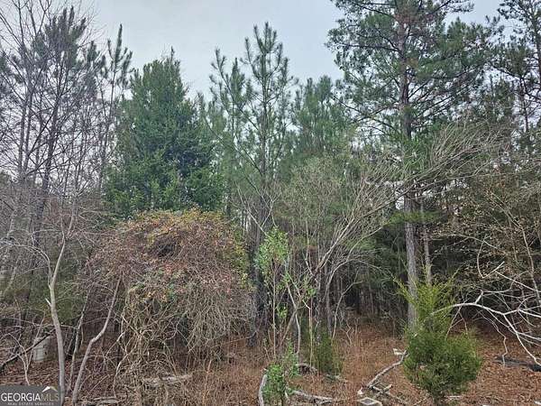 5 Acres of Residential Land for Sale in Carlton, Georgia
