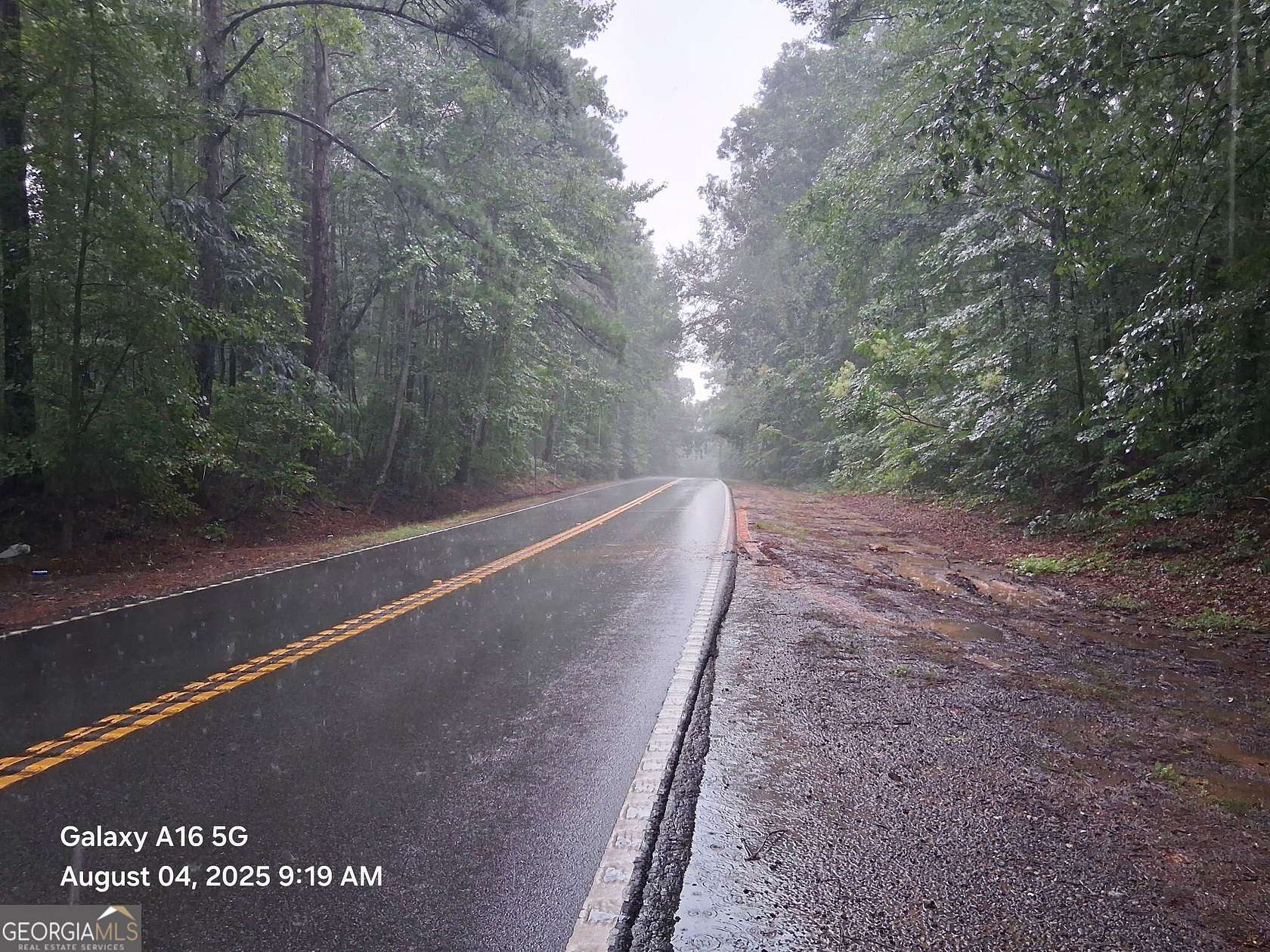 121 Acres of Recreational Land for Sale in Senoia, Georgia