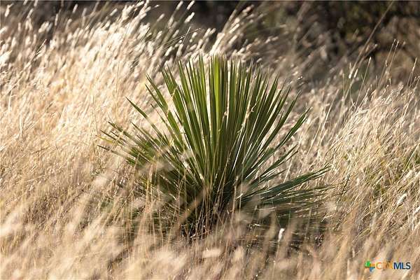 5 Acres of Residential Land for Sale in Round Mountain, Texas