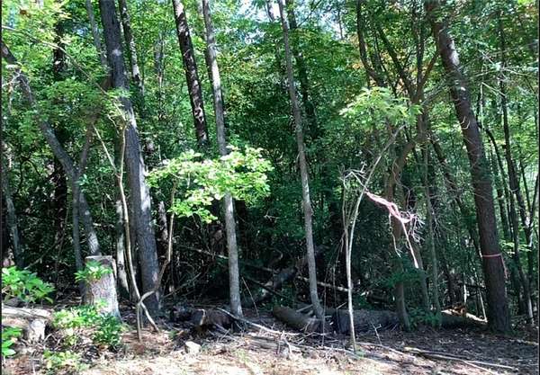 0.68 Acres of Residential Land for Sale in Ellijay, Georgia
