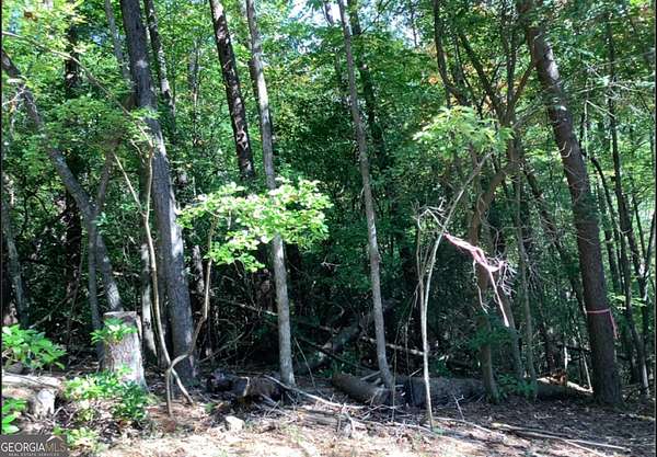 0.68 Acres of Residential Land for Sale in Ellijay, Georgia