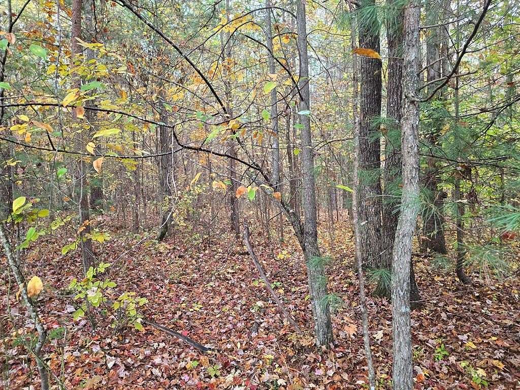 7.37 Acres of Recreational Land for Sale in Robbins, Tennessee