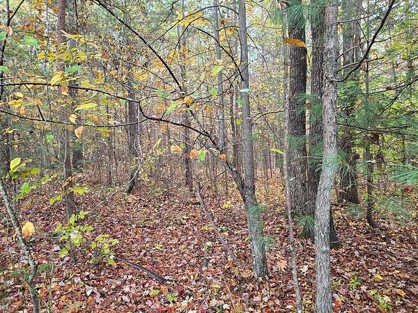 7.37 Acres of Recreational Land for Sale in Robbins, Tennessee