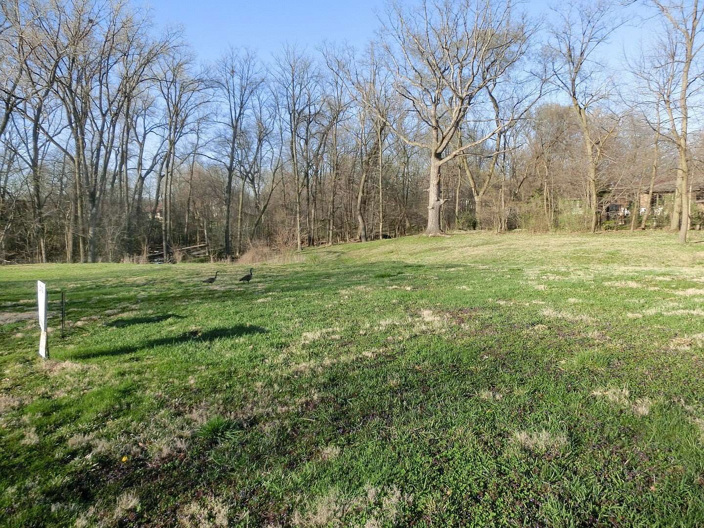 Residential Land for Sale in Tinley Park, Illinois
