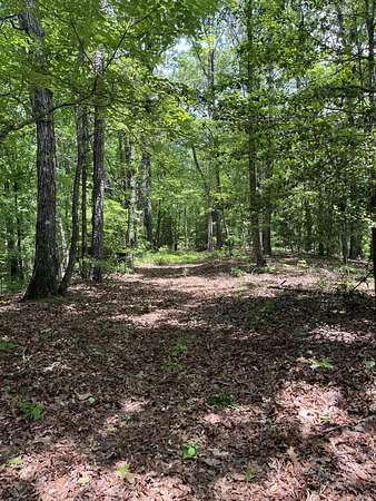 30 Acres of Recreational Land for Sale in Greenwood Springs, Mississippi