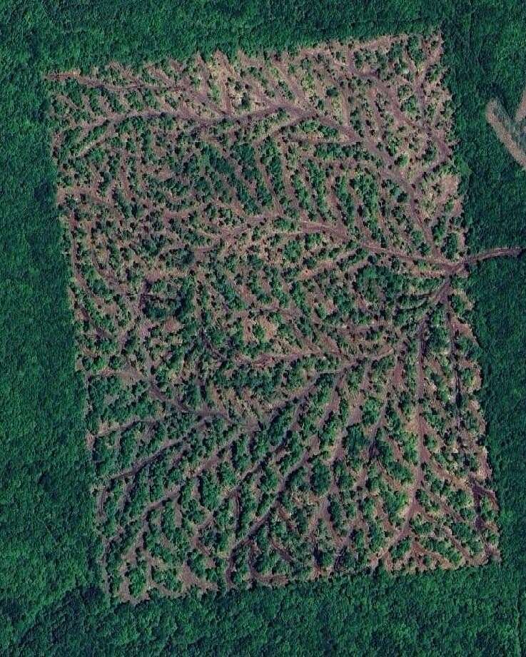 87 Acres of Recreational Land for Sale in Ellenburg, New York