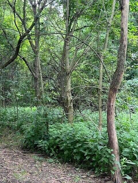 2 Acres of Residential Land for Sale in Centerburg, Ohio