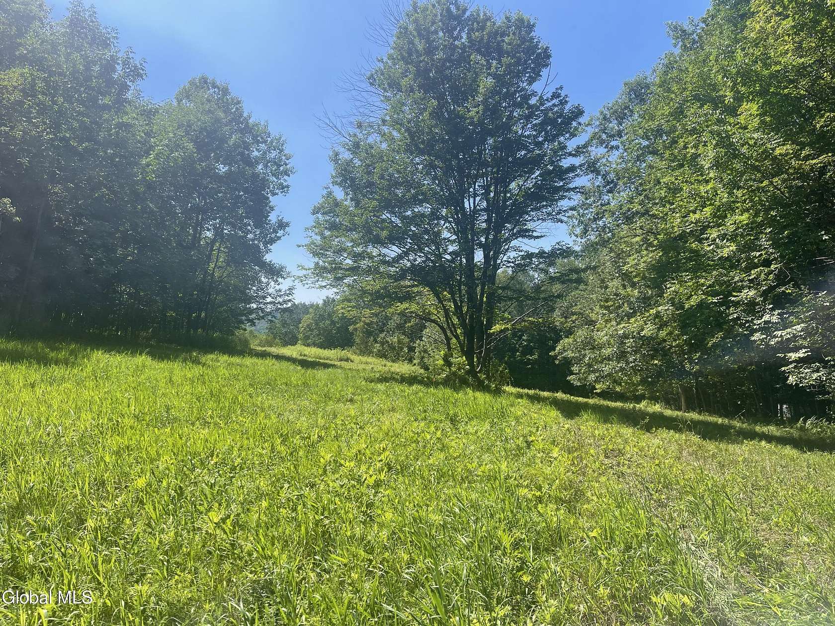 4.19 Acres of Land for Sale in Berlin, New York