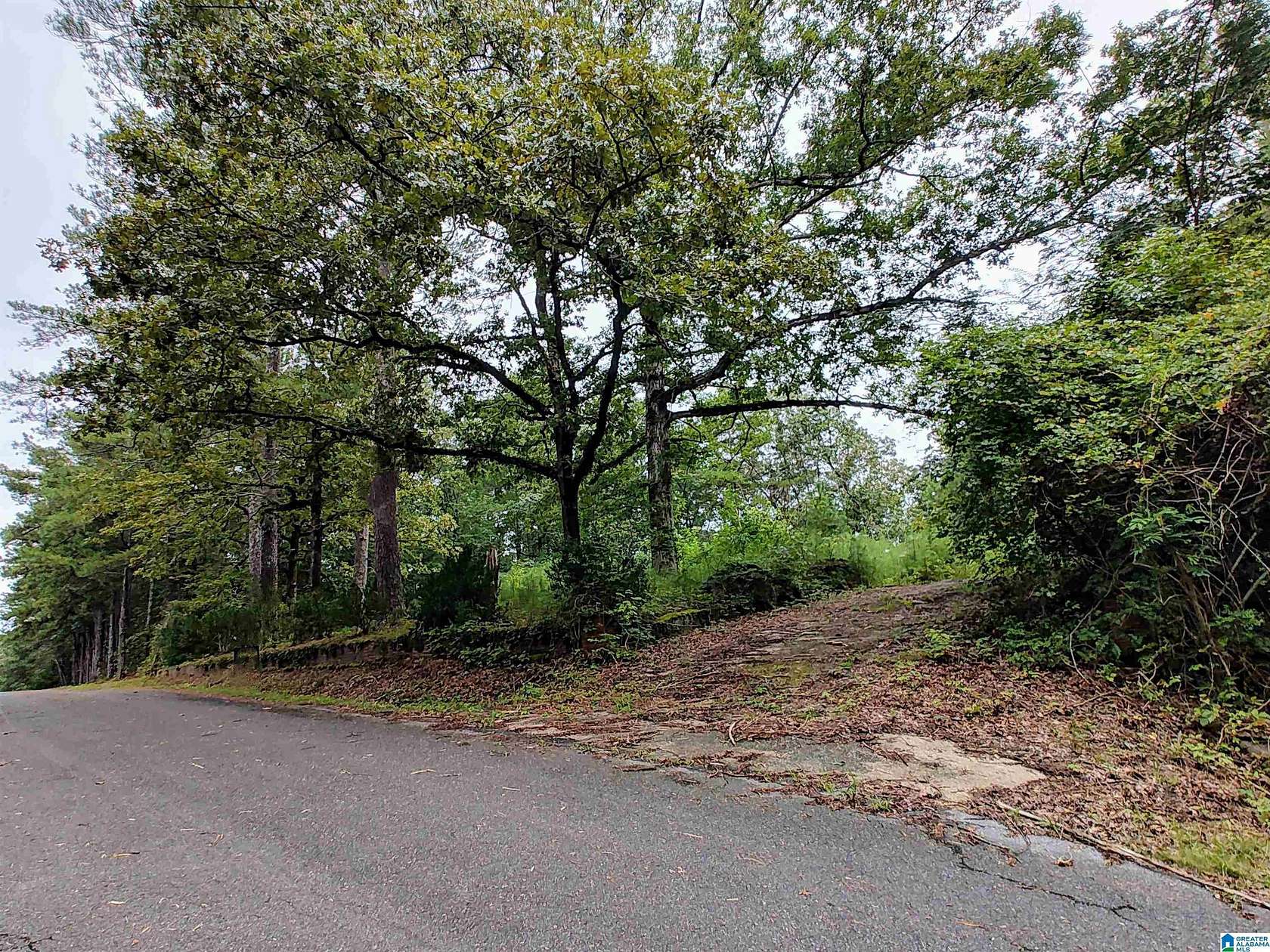 0.9 Acres of Residential Land for Sale in Pell City, Alabama