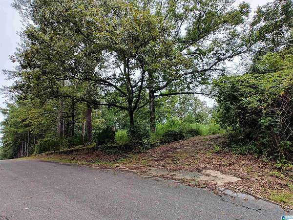 0.9 Acres of Residential Land for Sale in Pell City, Alabama