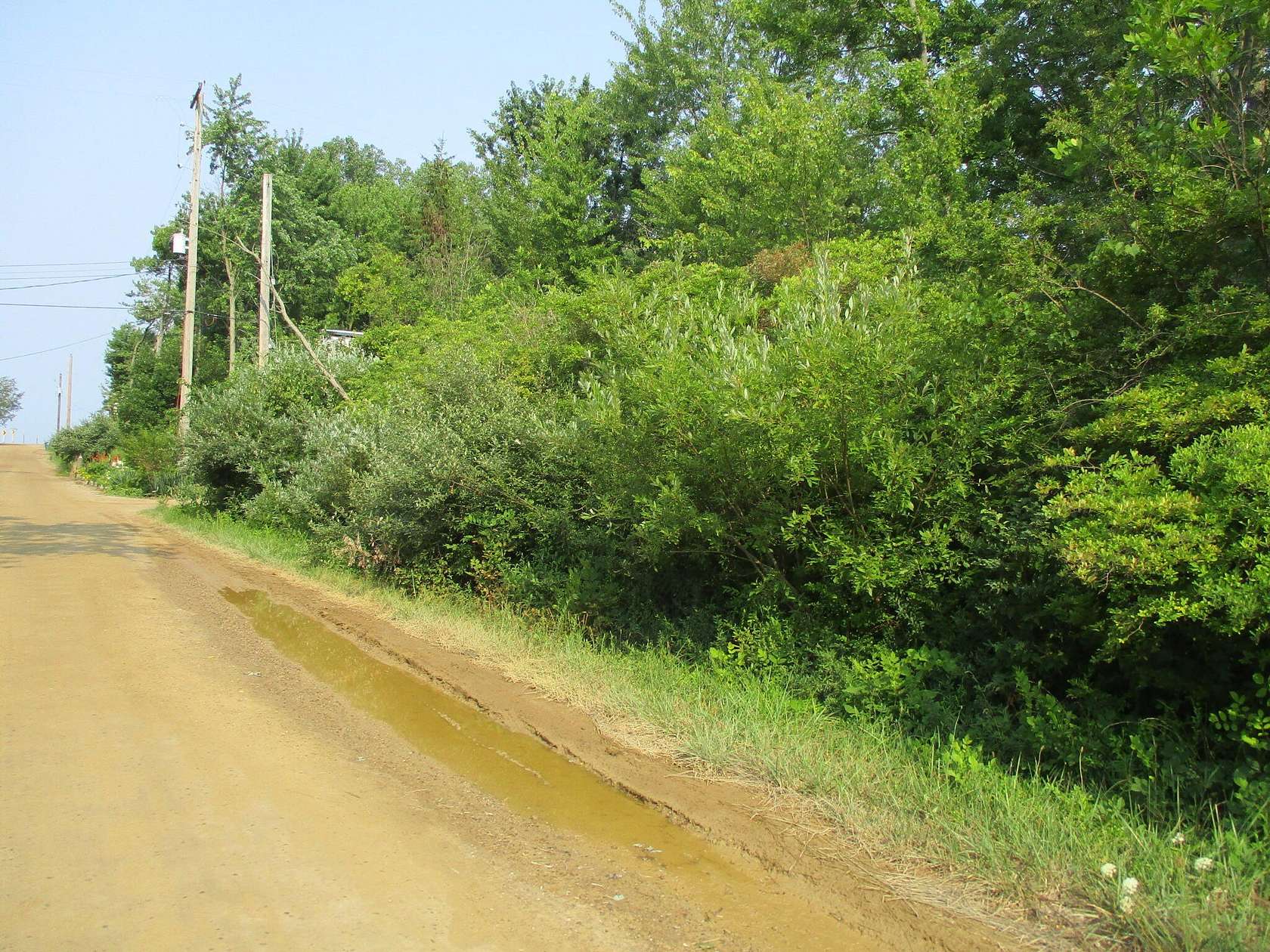 0.29 Acres of Land for Sale in South Haven, Michigan