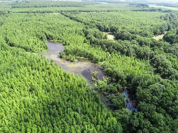 143 Acres of Recreational Land for Sale in Marks, Mississippi