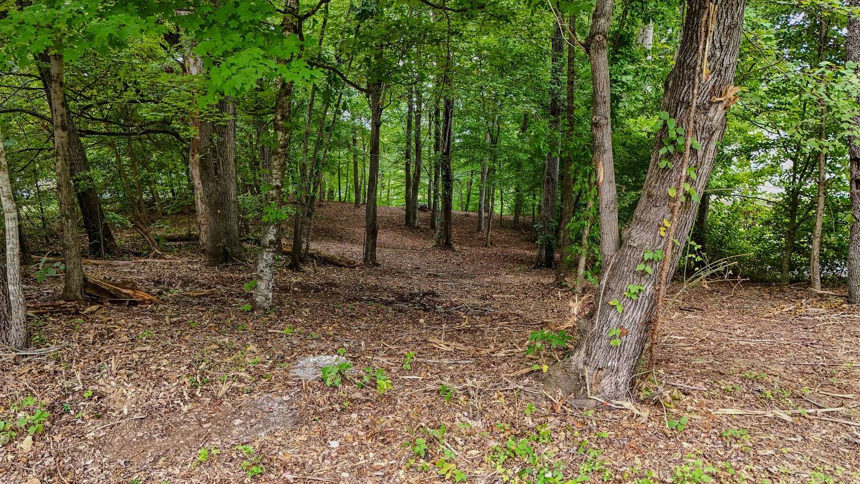 0.5 Acres of Residential Land for Sale in Georgetown, Tennessee