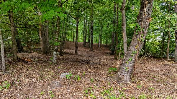 0.5 Acres of Residential Land for Sale in Georgetown, Tennessee