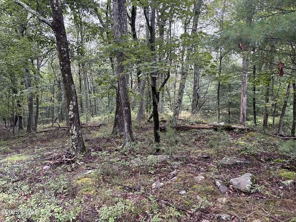 1.5 Acres of Residential Land for Sale in Dingmans Ferry, Pennsylvania