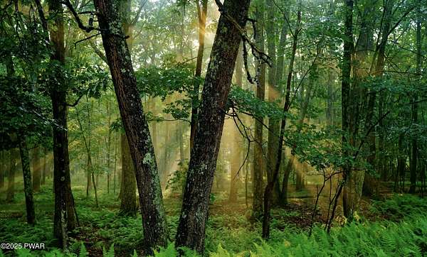 0.98 Acres of Land for Sale in Hawley, Pennsylvania