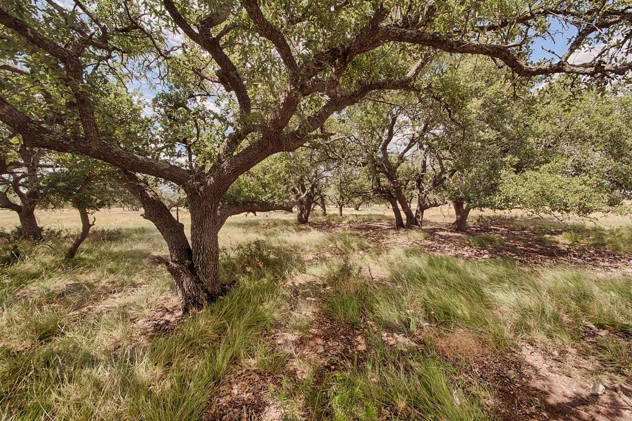 5.45 Acres of Residential Land for Sale in Harper, Texas