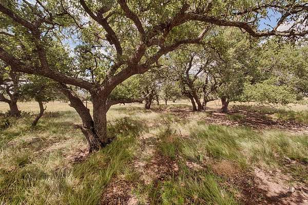 5.45 Acres of Residential Land for Sale in Harper, Texas