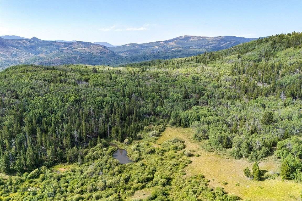 38.7 Acres of Recreational Land for Sale in Anaconda, Montana