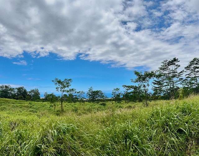 147 Acres of Agricultural Land for Sale in Pahala, Hawaii