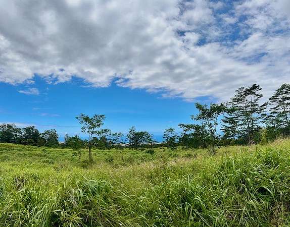 147 Acres of Agricultural Land for Sale in Pahala, Hawaii