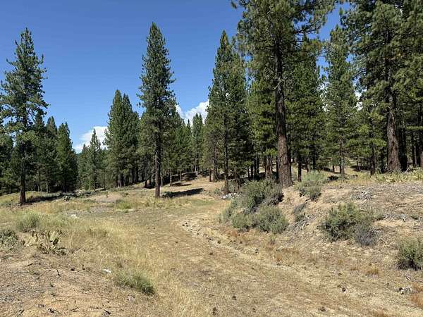 12.9 Acres of Land for Sale in Clio, California