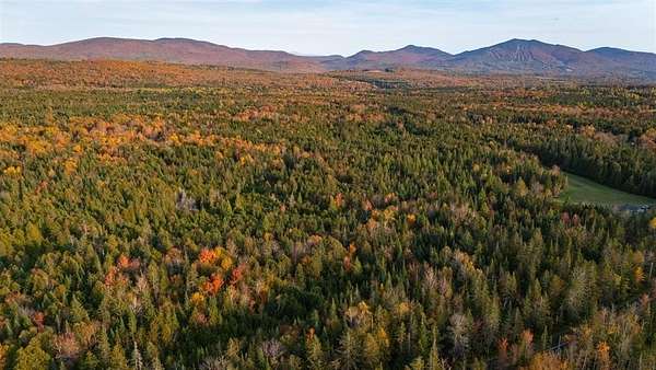 58.9 Acres of Land for Sale in Burke Town, Vermont