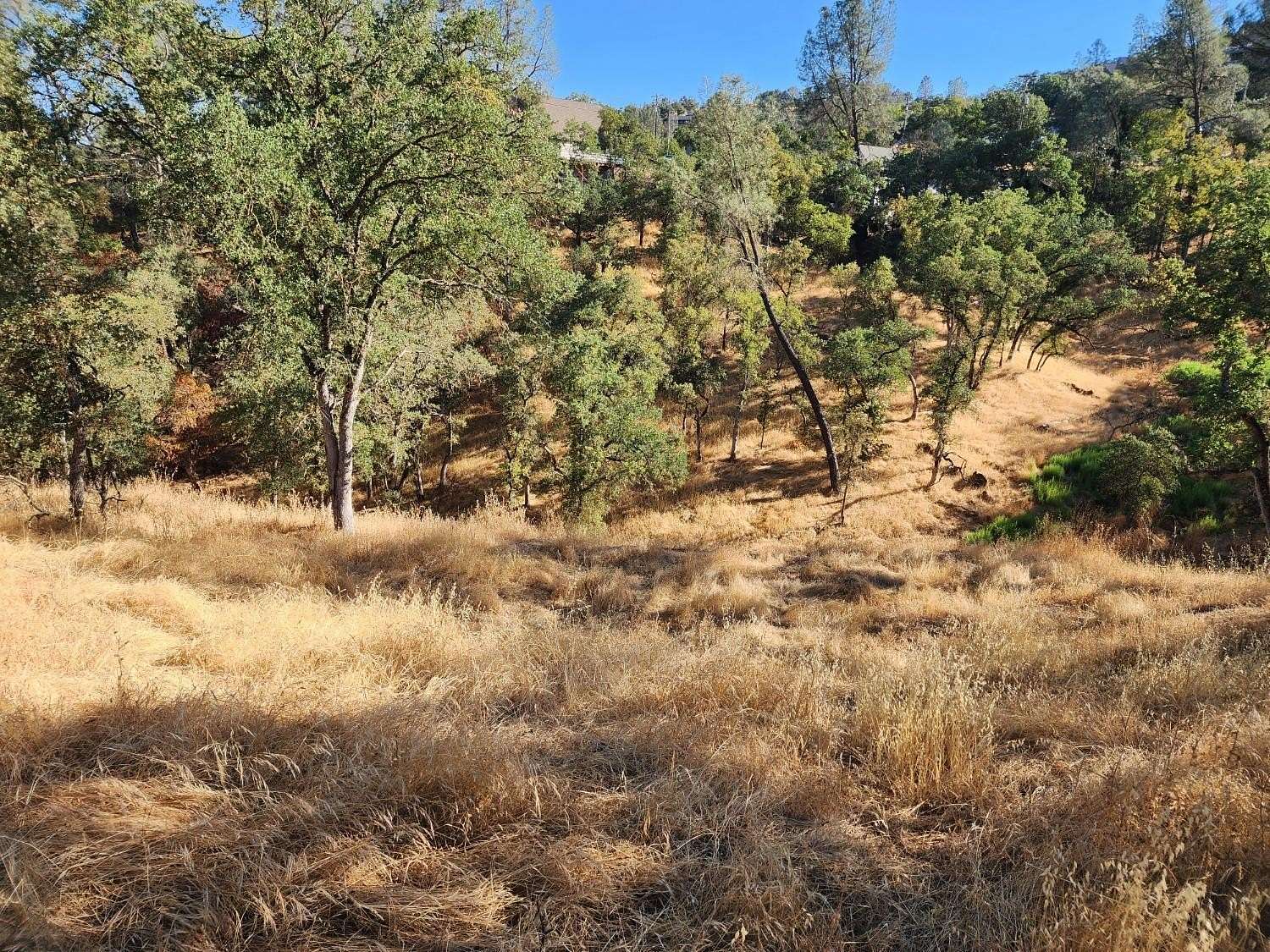 0.39 Acres of Residential Land for Sale in Copperopolis, California